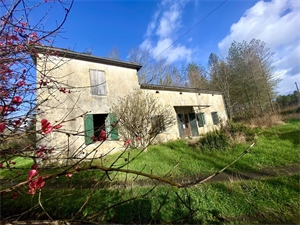 maison ancienne à la vente -   33730  VILLANDRAUT, surface 180 m2 vente maison ancienne - UBI475967660